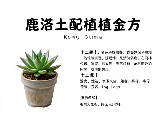 养护管理与长期维护要点