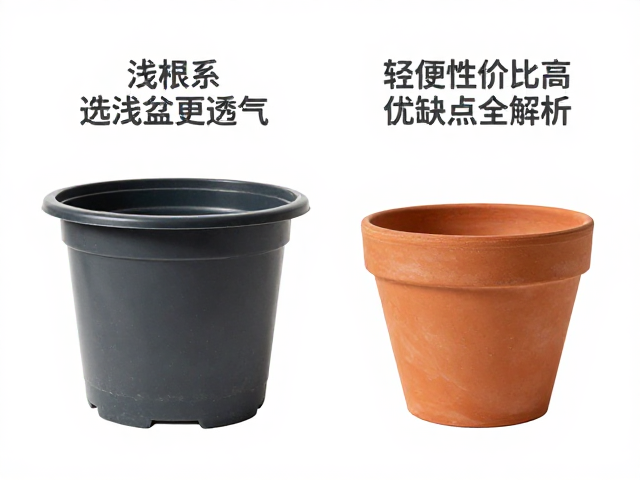 塑料盆vs红陶盆，浅根系选浅盆更透气，轻便性价比高优缺点全解析