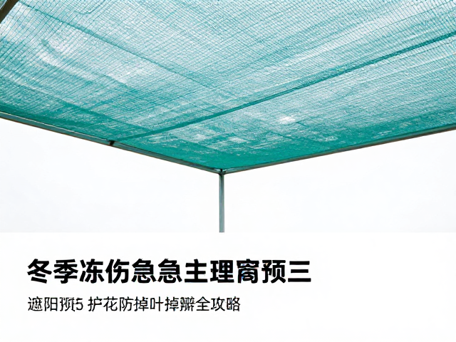 冬季冻伤应急处理与预防，遮阳网护花防掉叶掉瓣全攻略