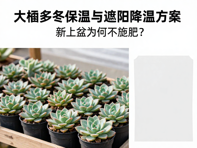 新上盆为何不施肥