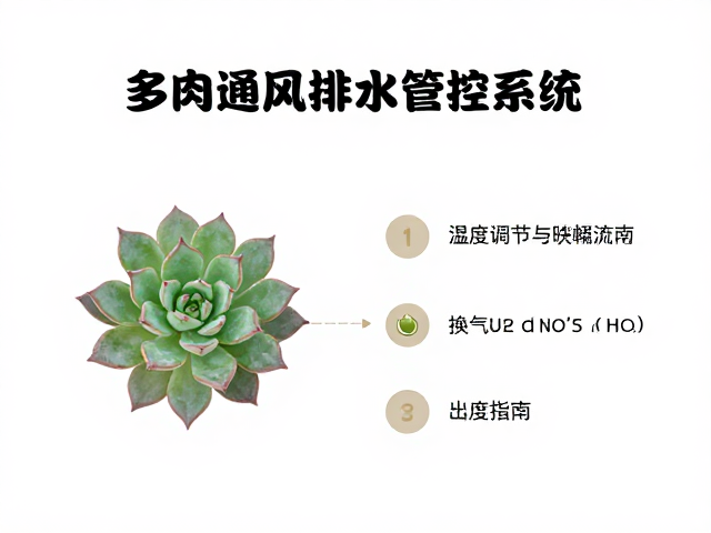 换气指南与空气流通效率优化