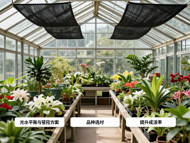 光水平衡:季节性调控与遮阳策略