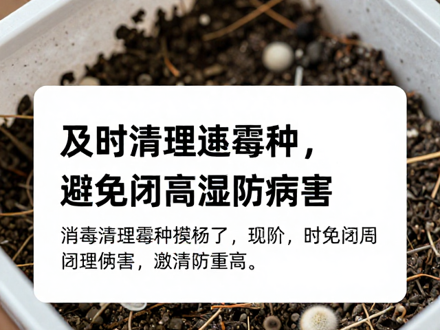 霉种清理与高湿环境的精准调控