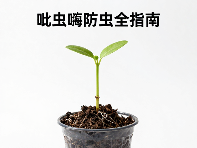 定期检查根系的状态评估与干预