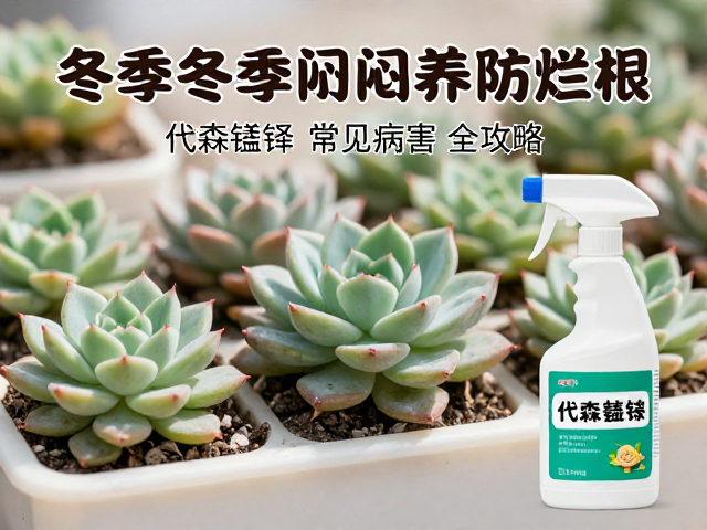 闷养与药剂防治的协同策略