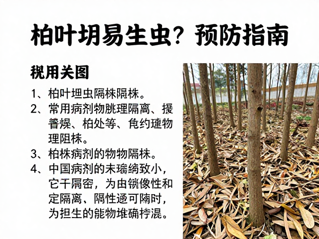 病株隔离与物理阻断策略