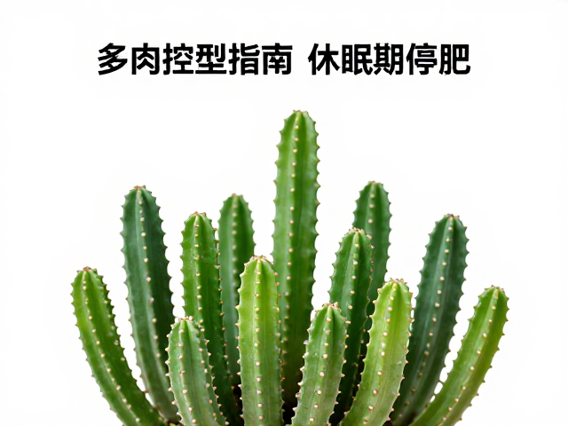 半年周期管理与形态定型