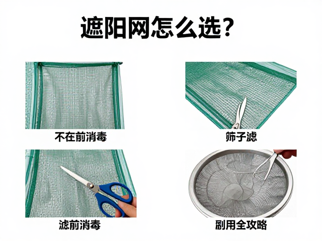 筛子与滤网的多场景应用技巧