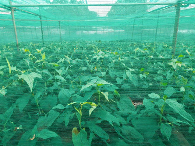定期巡检与维护记录