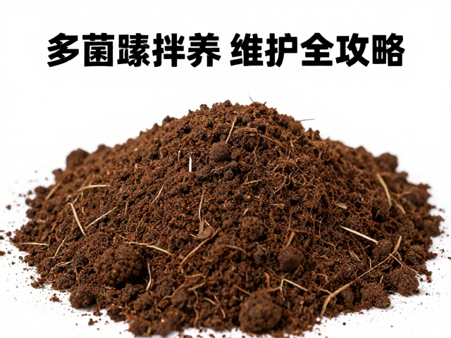 无菌育苗土的选择标准与环境控制