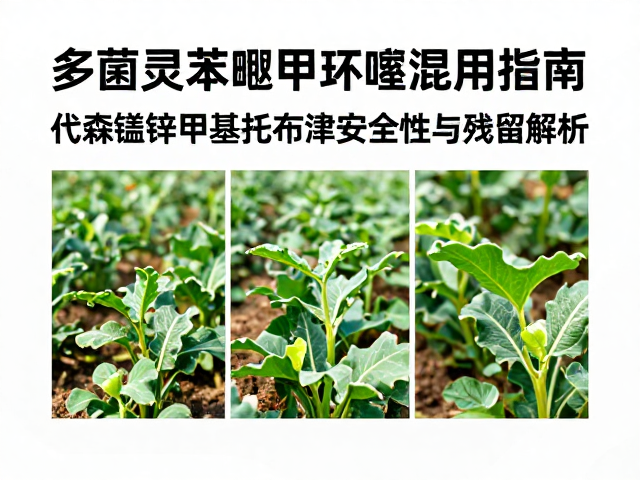 田间应用中的配伍禁忌与环境因子影响