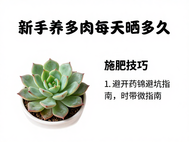 施肥技巧与避开药锦避坑指南