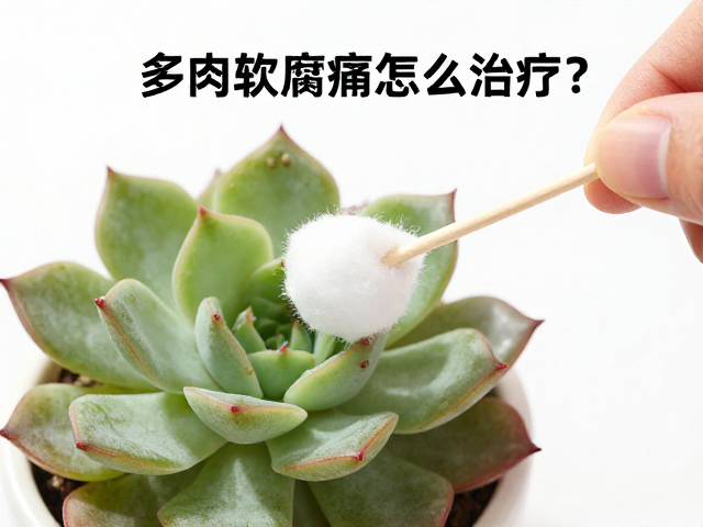 酒精擦拭法的具体操作与原理