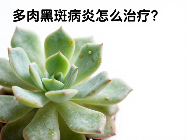 物理干预与化学治疗:精准用药方案