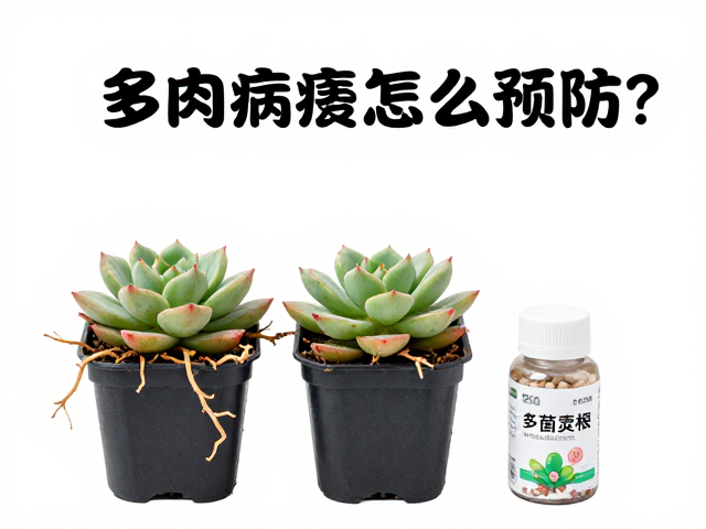 缓期管理与病害早期识别
