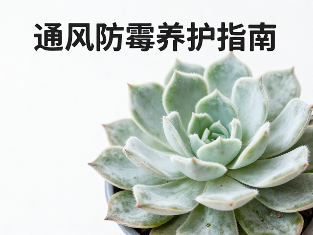 日常监测与病害应急处理