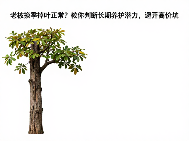 科学养护提升长期存活率