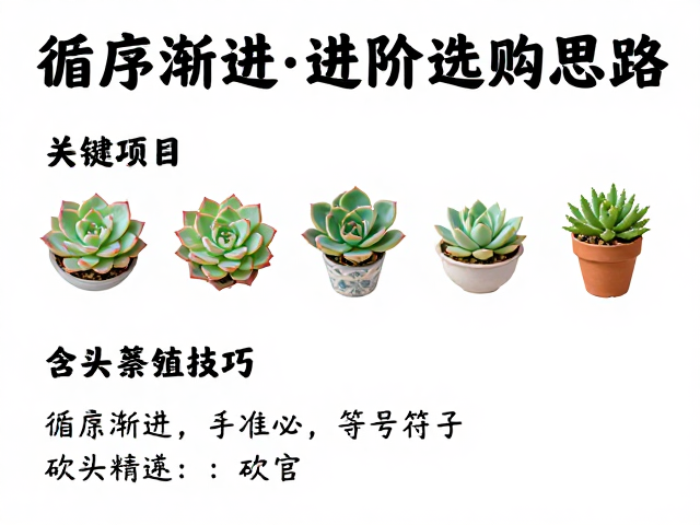 循序渐进进阶选购思路