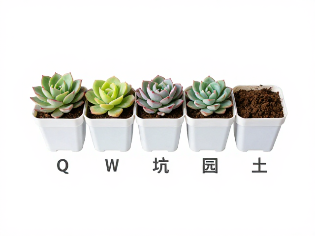 散光环境的光照阈值与调控