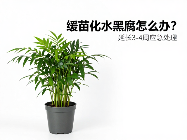 调控光温水分的动态平衡与长期监测