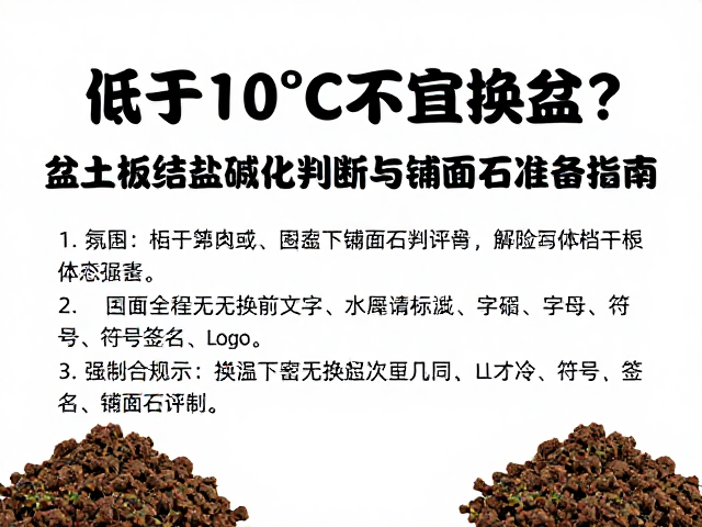 低温环境下换盆的风险与土壤状态评估