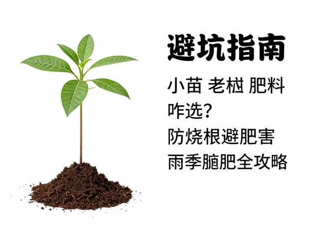避坑指南:老桩防烧根的肥料筛选逻辑