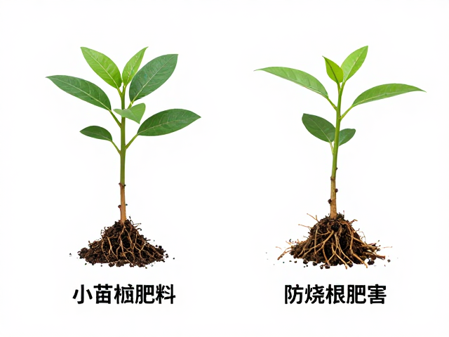 小苗老桩肥料咋选？防烧根避肥害，雨季施肥全攻略