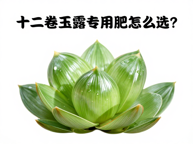 缓释肥在春季促花与生长的关键作用
