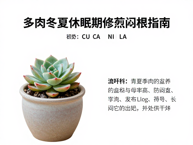 环境调控与长期养护的协同管理