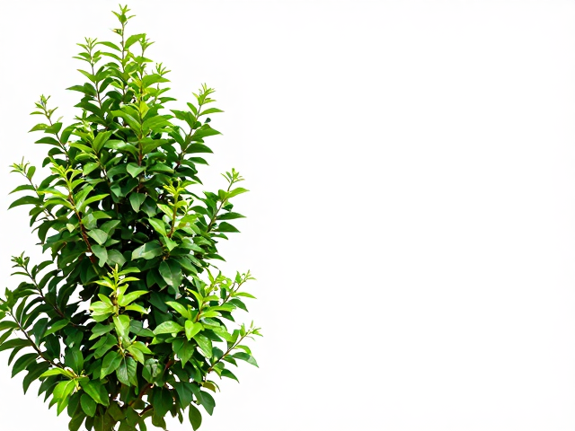 植株徒长暴晒纠正，局部扭转矫正与通风降温全攻略