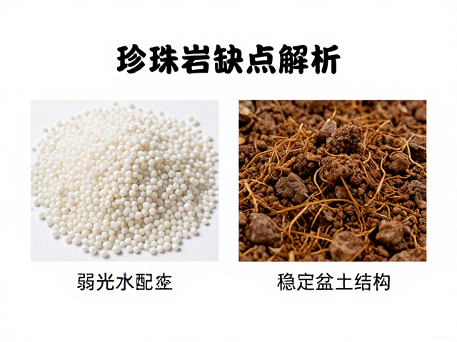 珍珠岩优缺点解析，室内弱光控水配土，稳定盆土结构