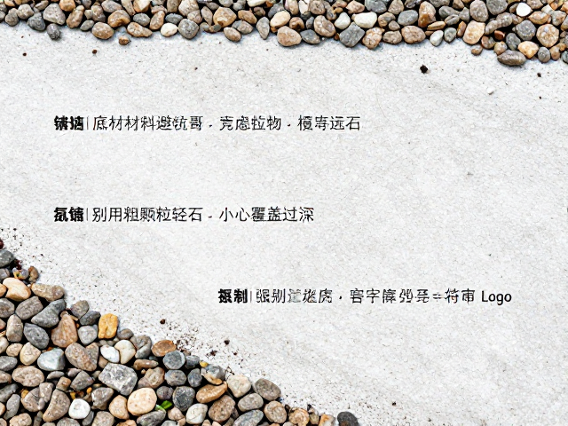 覆盖深度对根系生长的实际影响