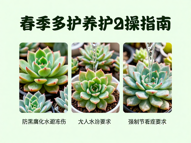 化水控制:光照节奏与水分管理