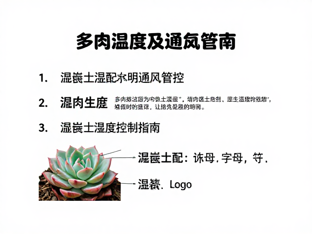 温度波动对多肉的生理影响