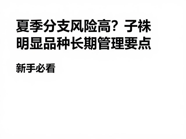 长期养护中的常见误区与修正