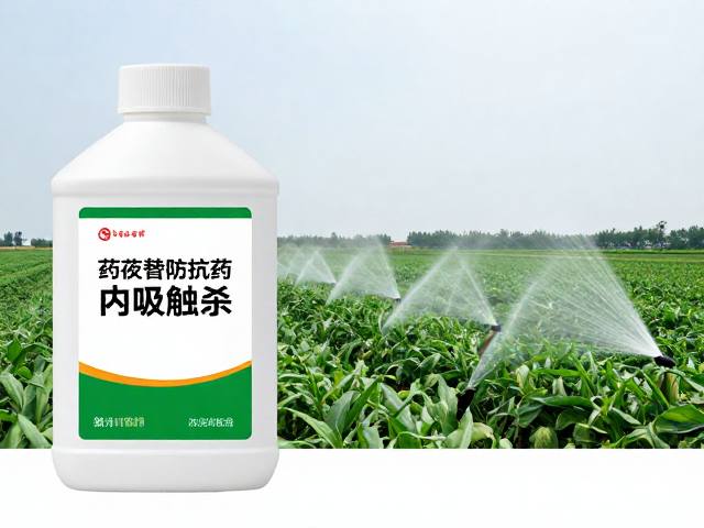 科学施药的田间管理与环境考量