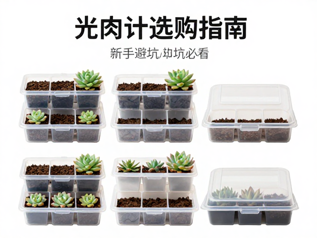 多肉养护必备，土壤收纳盒与光照计选购指南，新手避坑必看