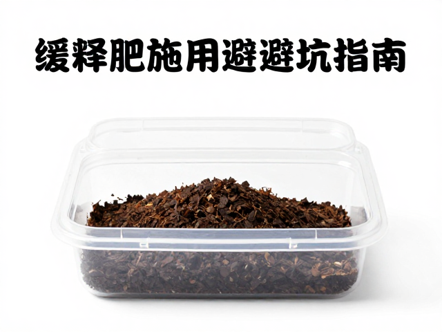 常见误区与长期维护建议