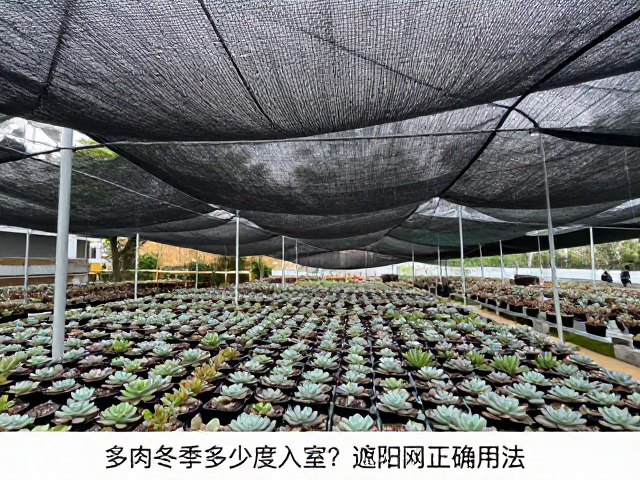 遮阳网正确用法