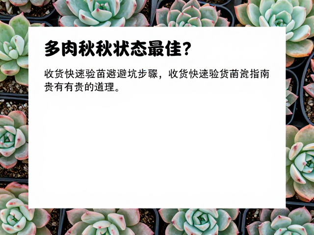 收货验苗:快速识别隐患的核心步骤
