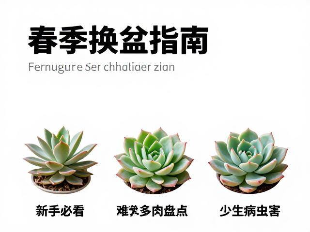 夏季难养品种:高温下的生存挑战