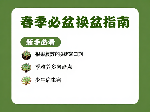 新手必看，春季换盆指南，夏季难养多肉盘点，少生病虫害
