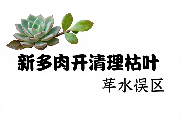 浇水误区的规避与水分控制