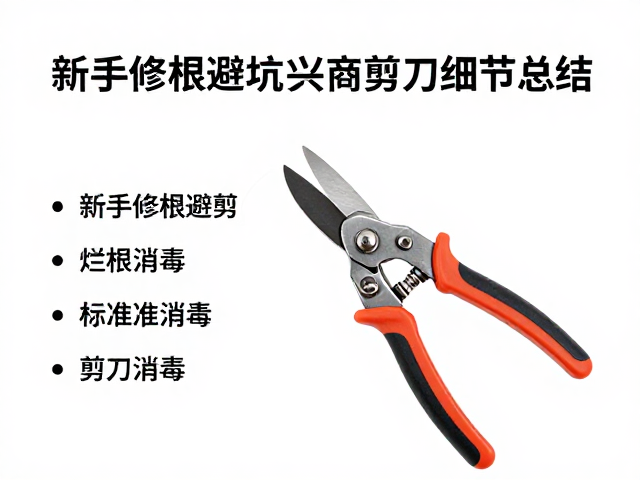 修剪工具的选择与标准化消毒流程