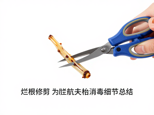 修剪后的伤口处理与杀菌防护