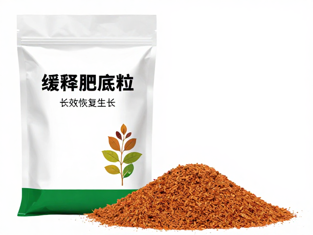 科学施用方法与浓度控制