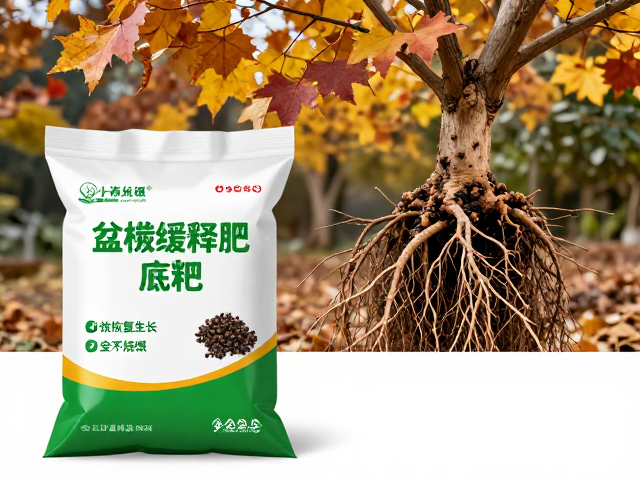秋季盆栽缓释肥底肥，长效恢复生长，安全不烧根