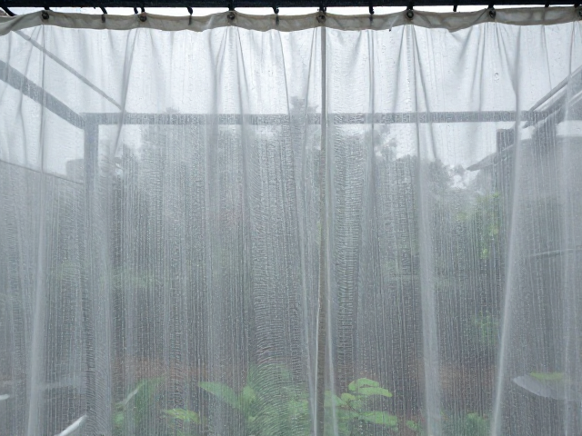 露养淋雨强光灼伤防护，阴雨天补光与纱帘过滤全攻略
