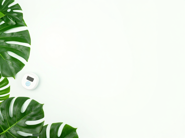 夏季高温下的植物补光策略与设备选型
