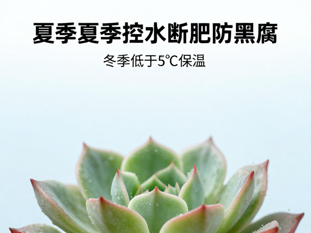 冬季低于5℃保温
